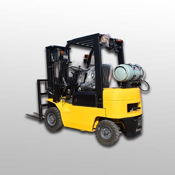 ZGFORKLIFT CPY15 Frozen Food Logistics Application Series application scene 1
