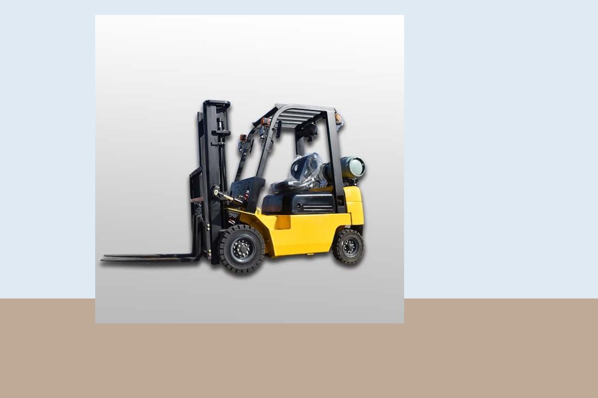 ZGFORKLIFT CPY15 Retail DC Application Series application scene 3